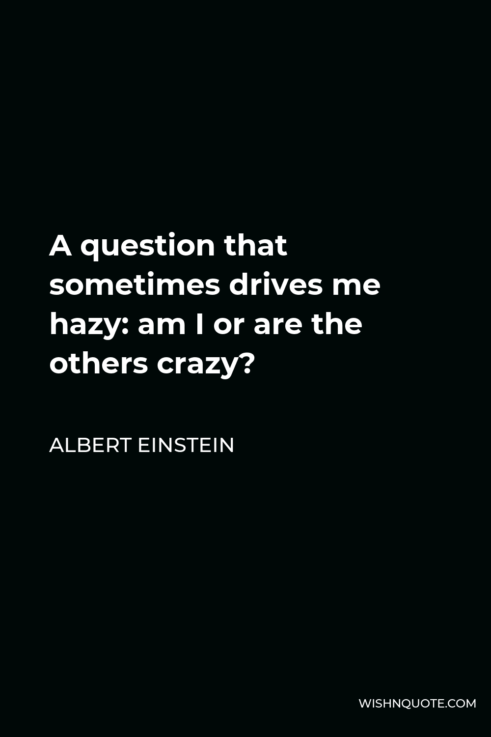 Albert Einstein Quote - A question that sometimes drives me hazy: am I or are the others crazy?