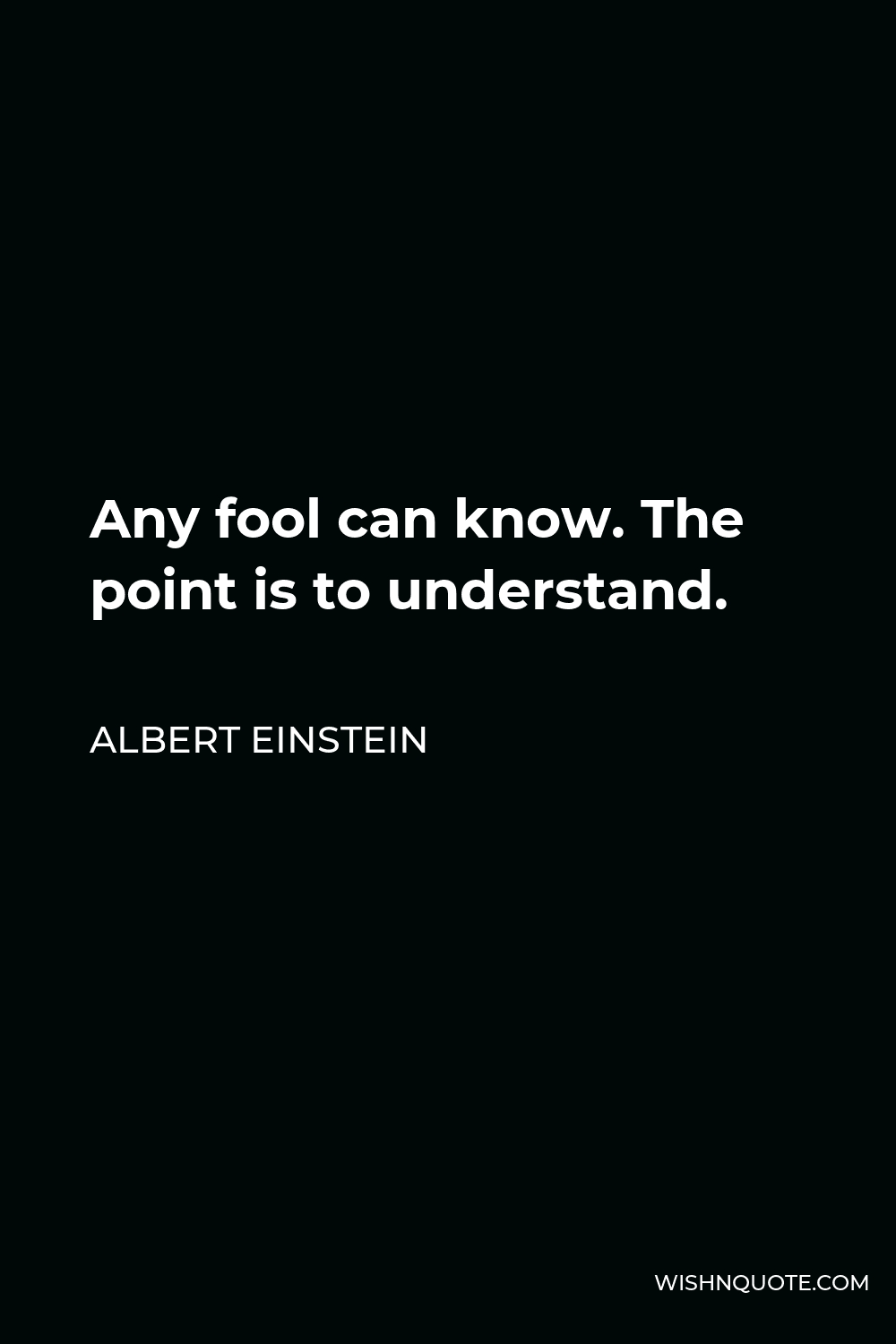 Albert Einstein Quote - Any fool can know. The point is to understand.