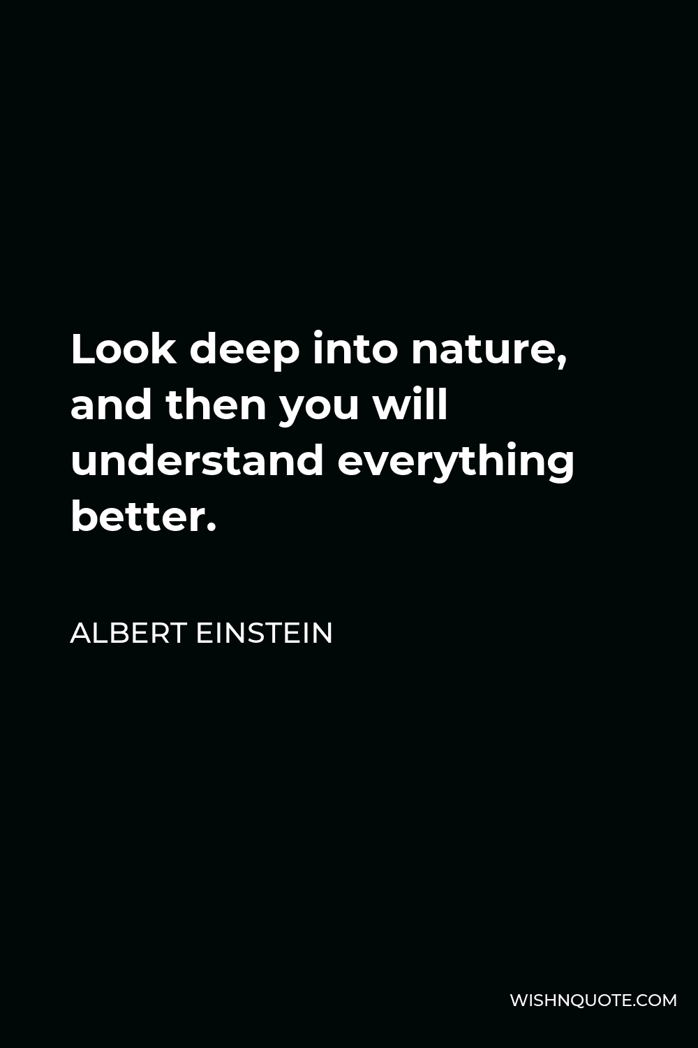Albert Einstein Quote - Look deep into nature, and then you will understand everything better.