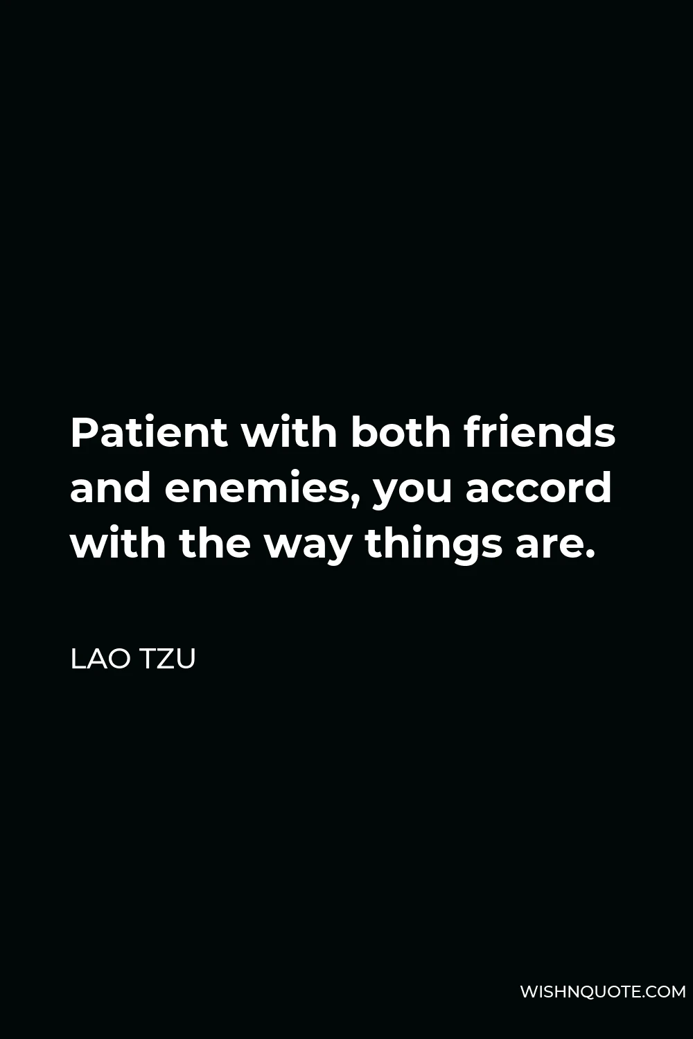 Lao Tzu Quote - Patient with both friends and enemies, you accord with the way things are.