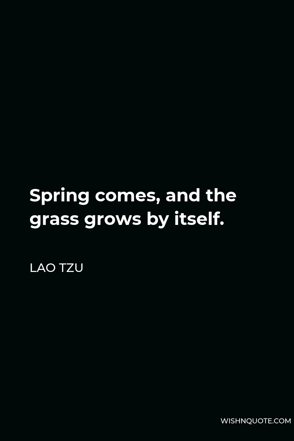 Lao Tzu Quote - Spring comes, and the grass grows by itself.