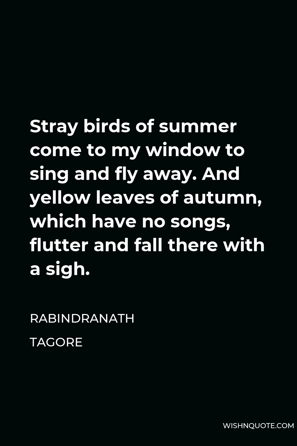 Rabindranath Tagore Quote - Stray birds of summer come to my window to sing and fly away. And yellow leaves of autumn, which have no songs, flutter and fall there with a sigh.