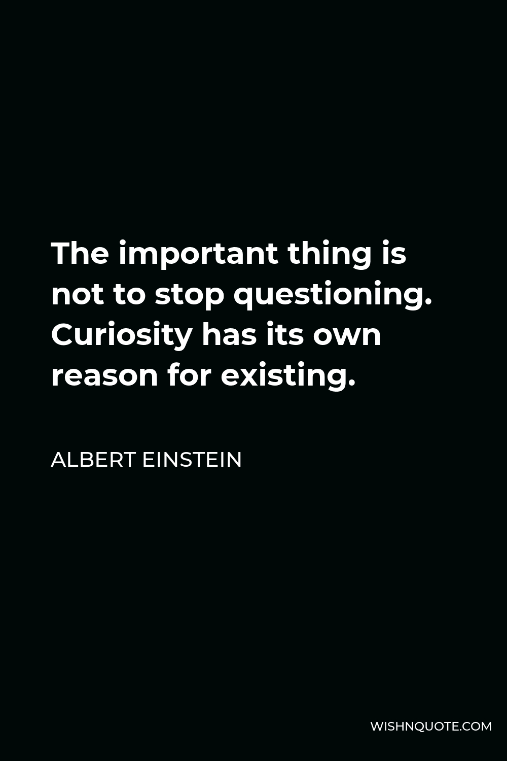 Albert Einstein Quote - The important thing is not to stop questioning. Curiosity has its own reason for existing.