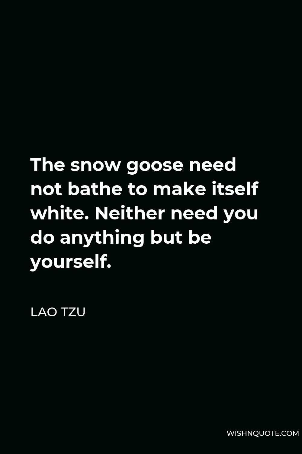Lao Tzu Quote - The snow goose need not bathe to make itself white. Neither need you do anything but be yourself.