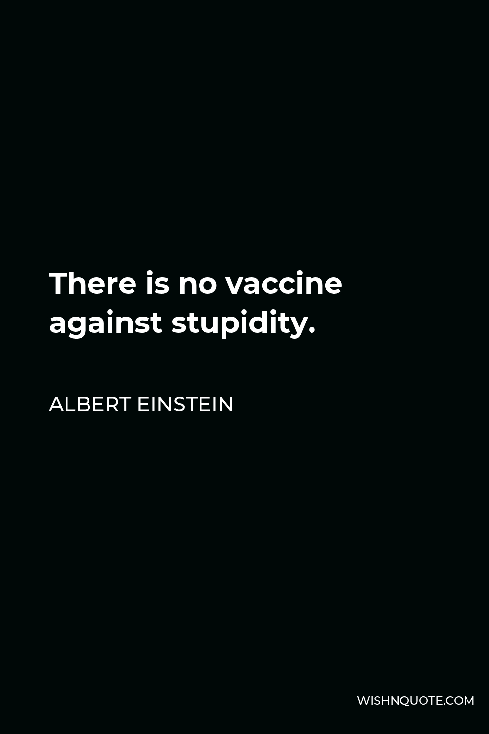 Albert Einstein Quote - There is no vaccine against stupidity.