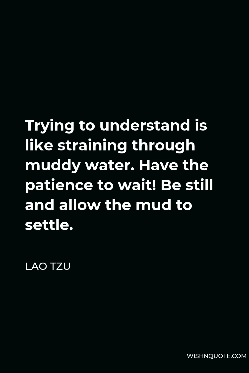 Lao Tzu Quote - Trying to understand is like straining through muddy water. Have the patience to wait! Be still and allow the mud to settle.