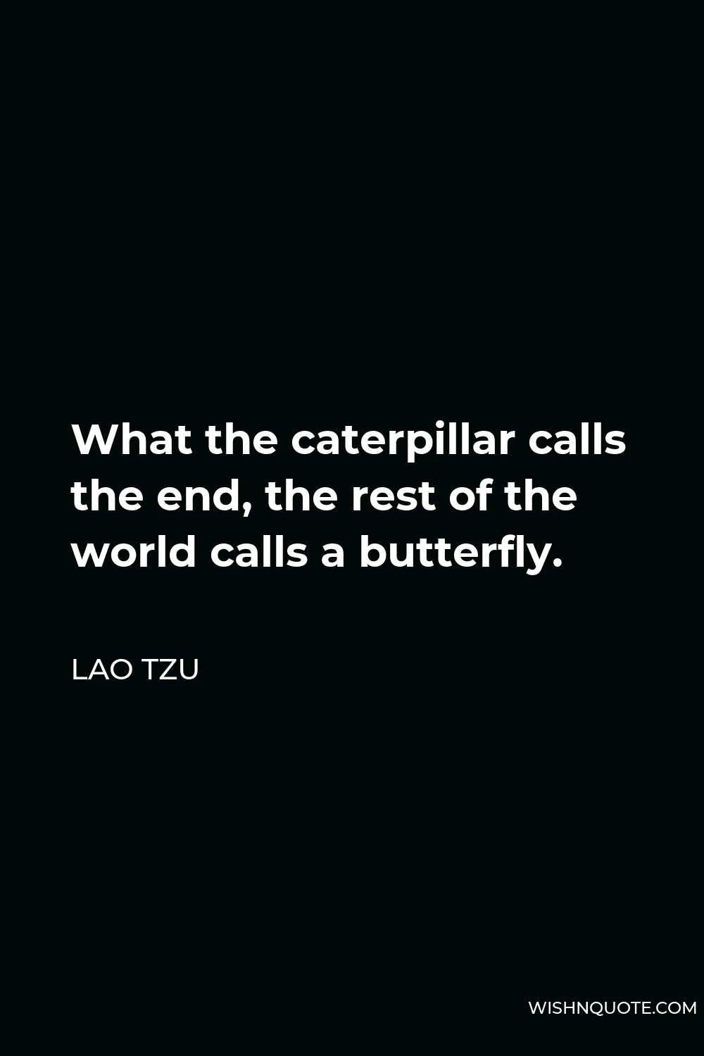 Lao Tzu Quote - What the caterpillar calls the end, the rest of the world calls a butterfly.