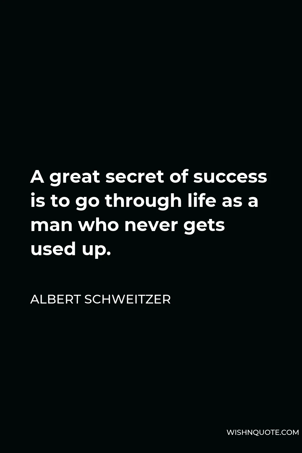 Albert Schweitzer Quote - A great secret of success is to go through life as a man who never gets used up.