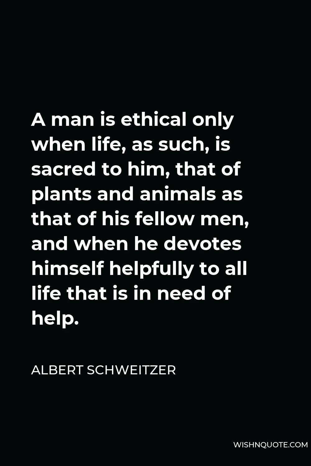 Albert Schweitzer Quote - A man is ethical only when life, as such, is sacred to him, that of plants and animals as that of his fellow men, and when he devotes himself helpfully to all life that is in need of help.