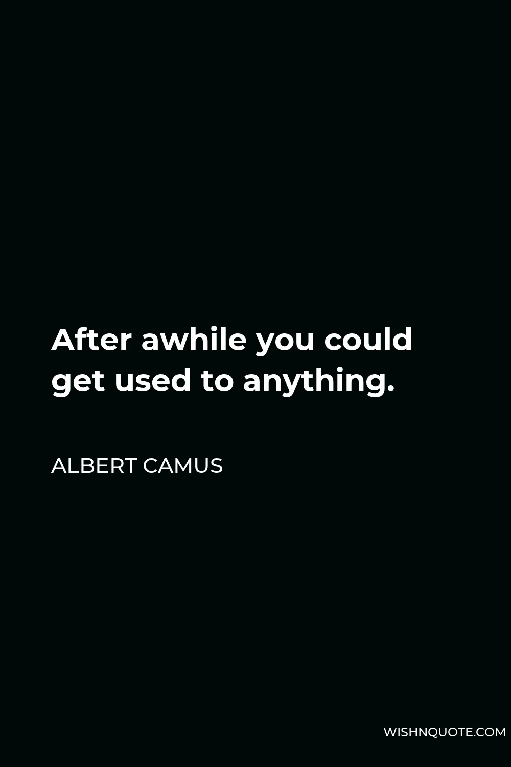 Albert Camus Quote - After awhile you could get used to anything.