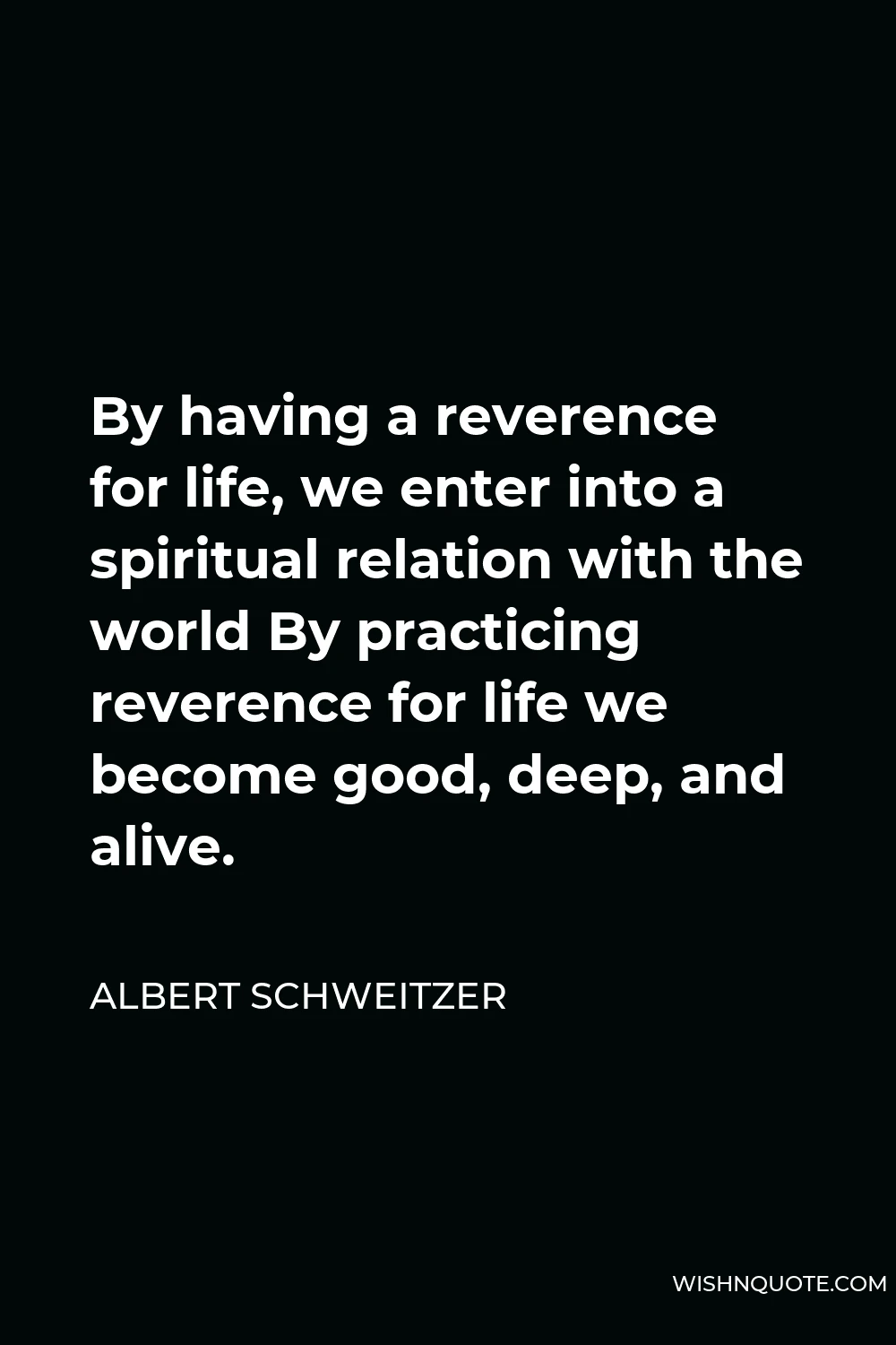 Albert Schweitzer Quote - By having a reverence for life, we enter into a spiritual relation with the world By practicing reverence for life we become good, deep, and alive.