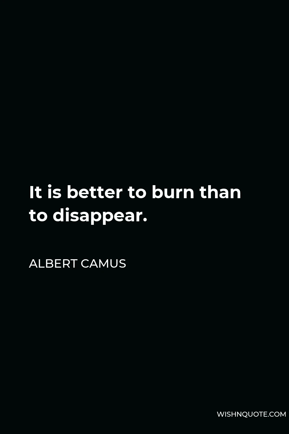 Albert Camus Quote - It is better to burn than to disappear.
