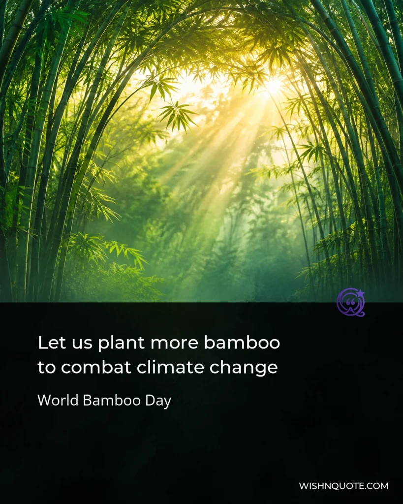 Let us plant more bamboo to combat climate change