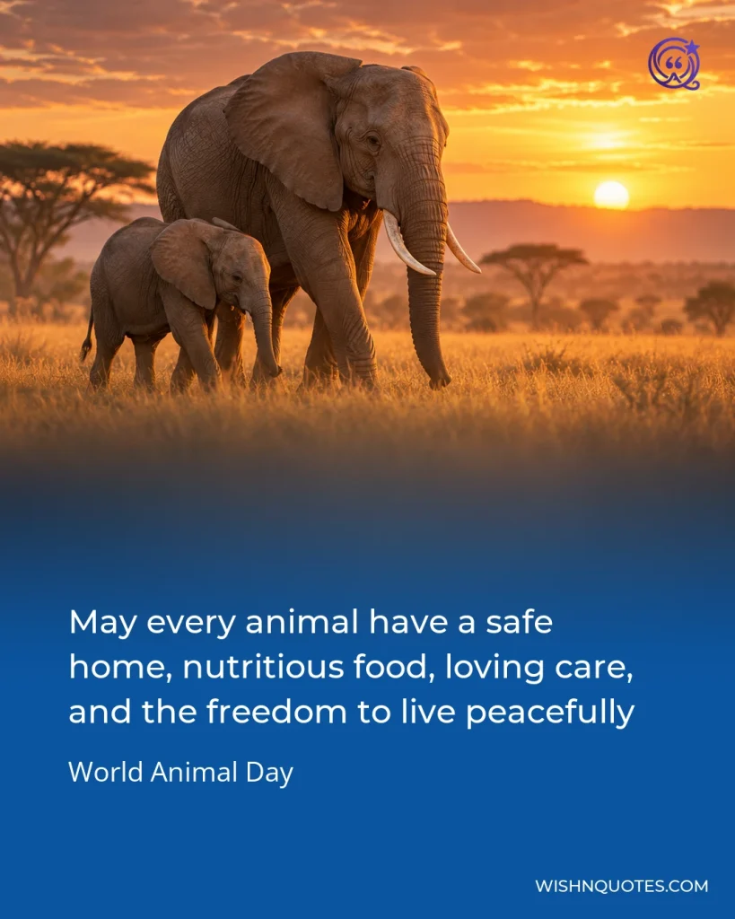 May every animal have a safe home, nutritious food, loving care, and the freedom to live peacefully