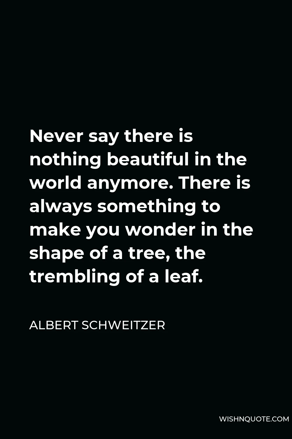 Albert Schweitzer Quote - Never say there is nothing beautiful in the world anymore. There is always something to make you wonder in the shape of a tree, the trembling of a leaf.