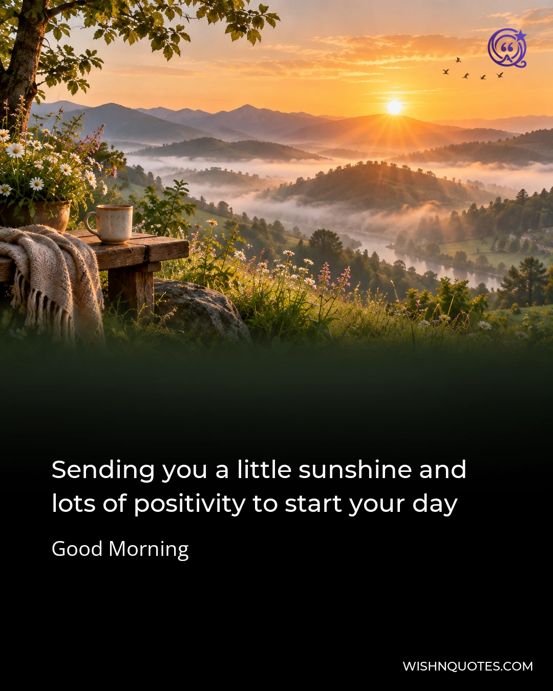 Sending you a little sunshine and lots of positivity to start your day