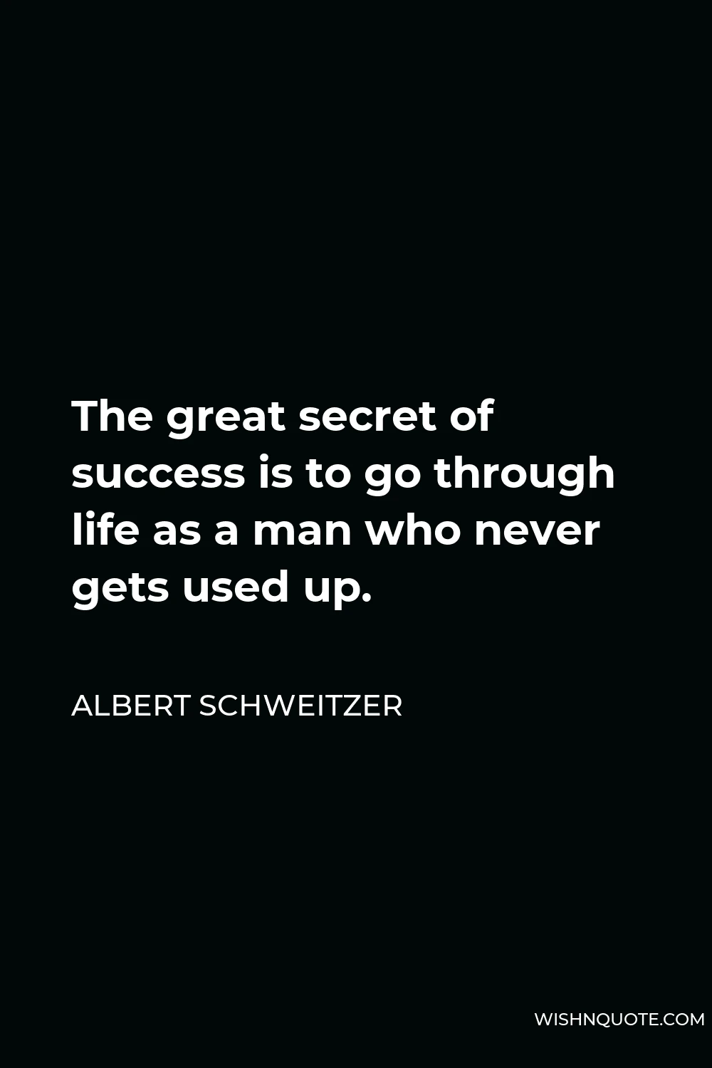 Albert Schweitzer Quote - The great secret of success is to go through life as a man who never gets used up.
