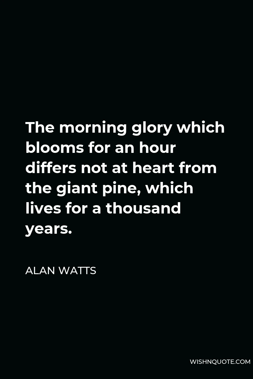 Alan Watts Quote - The morning glory which blooms for an hour differs not at heart from the giant pine, which lives for a thousand years.