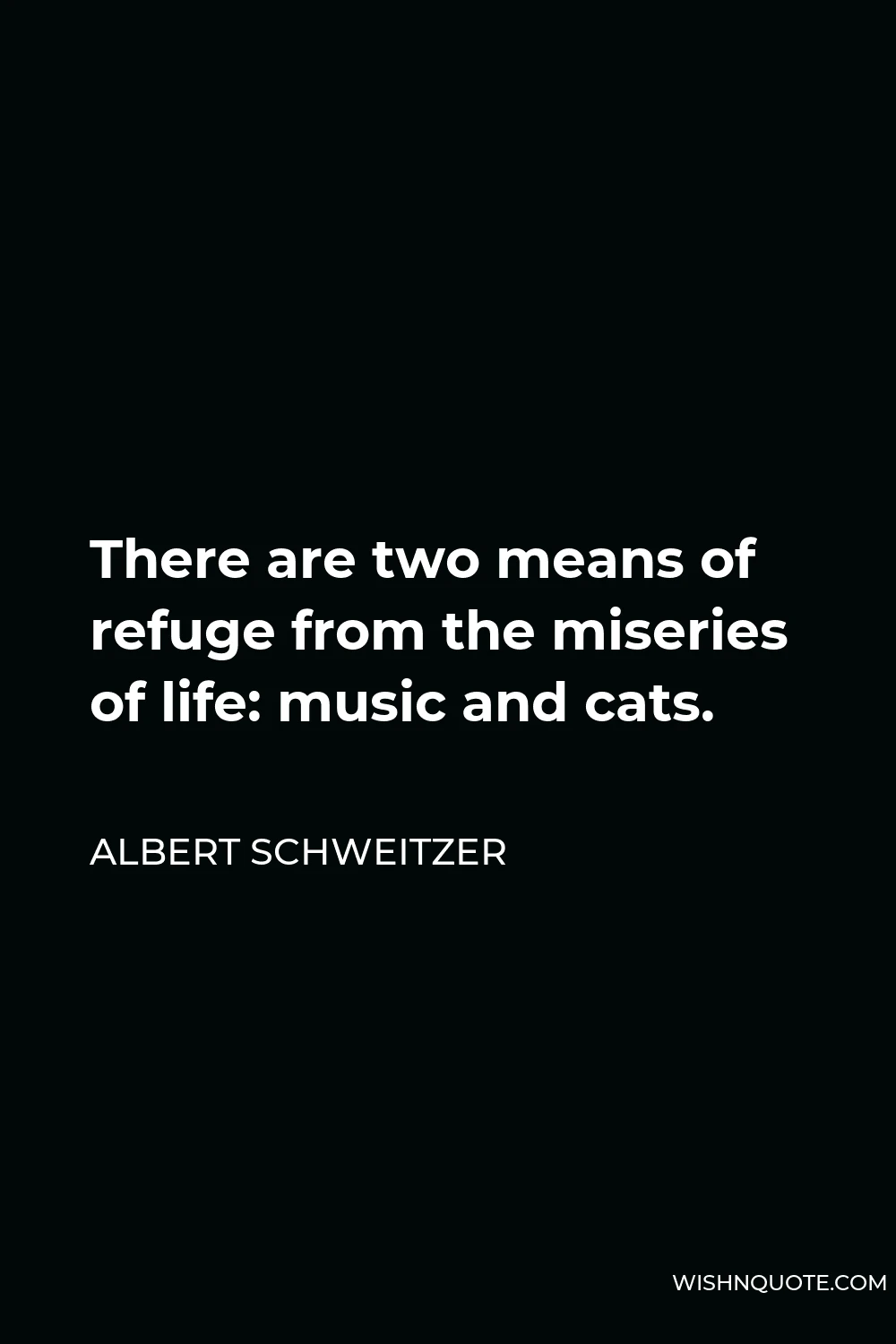 Albert Schweitzer Quote - There are two means of refuge from the miseries of life: music and cats.