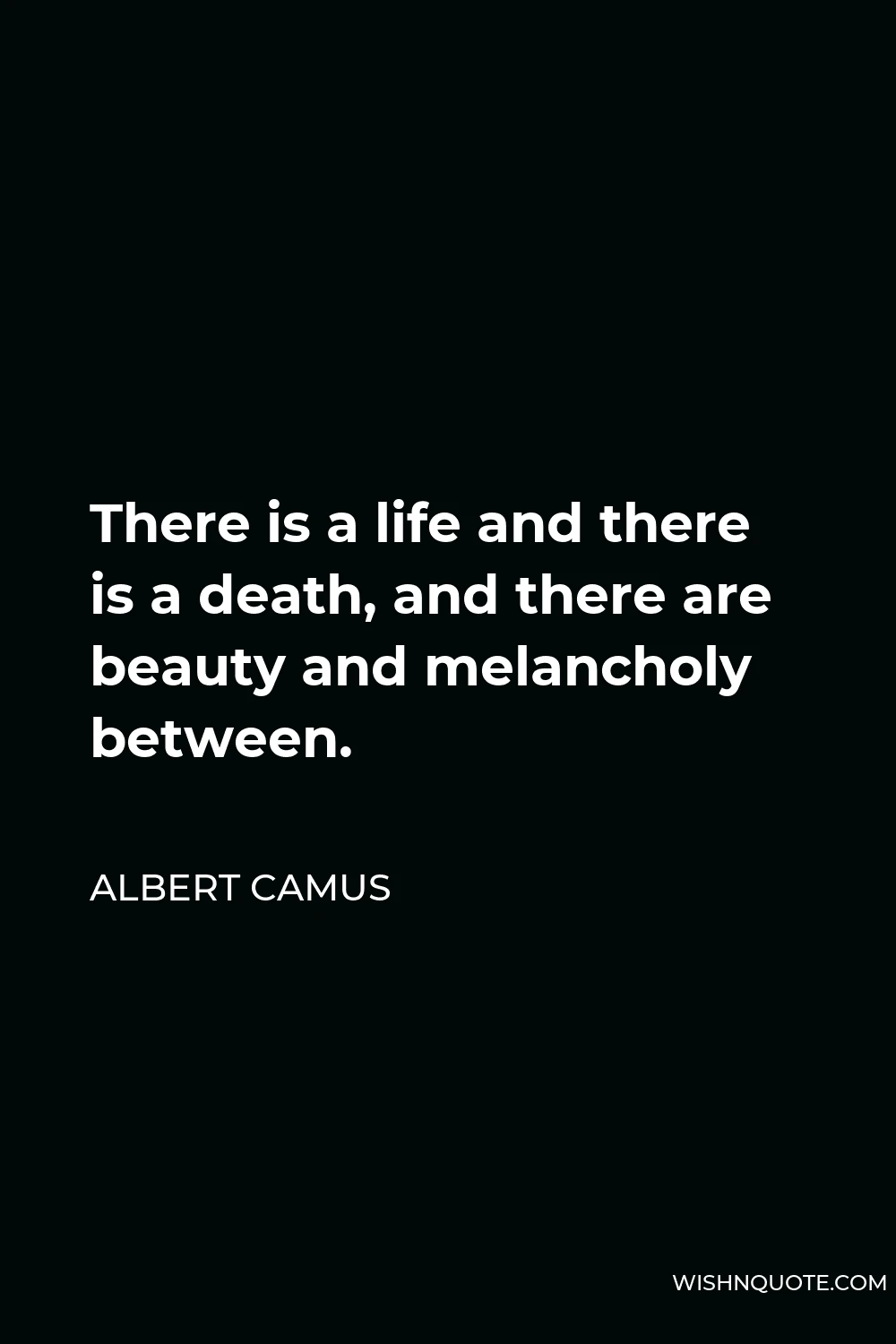 Albert Camus Quote - There is a life and there is a death, and there are beauty and melancholy between.