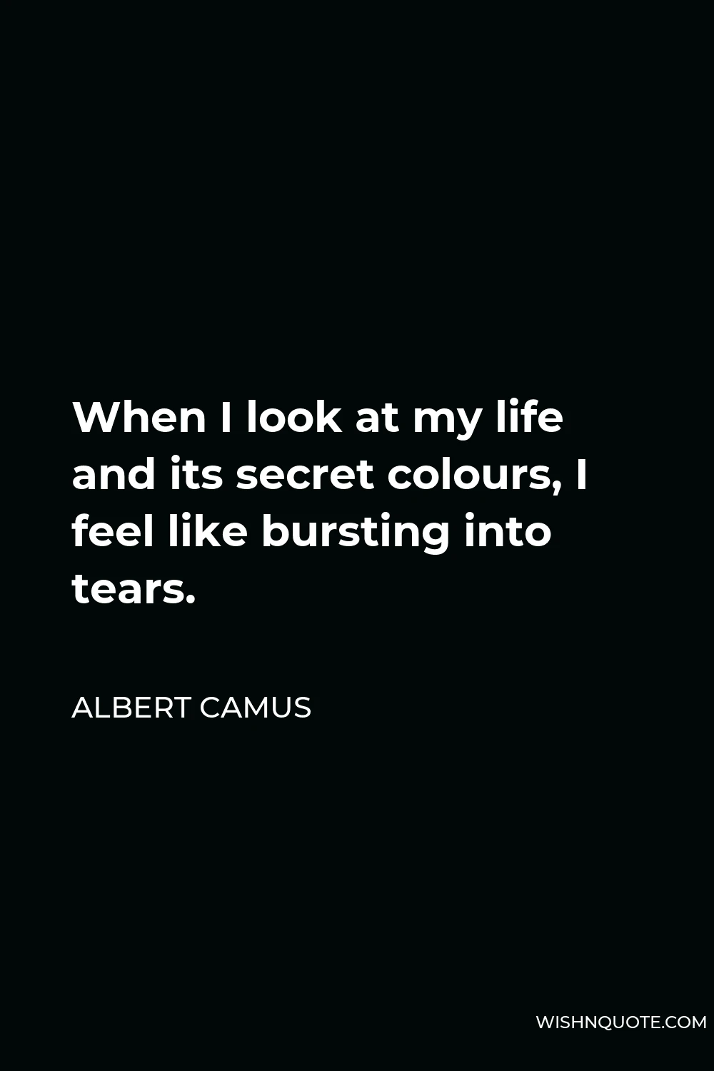 Albert Camus Quote - When I look at my life and its secret colours, I feel like bursting into tears.
