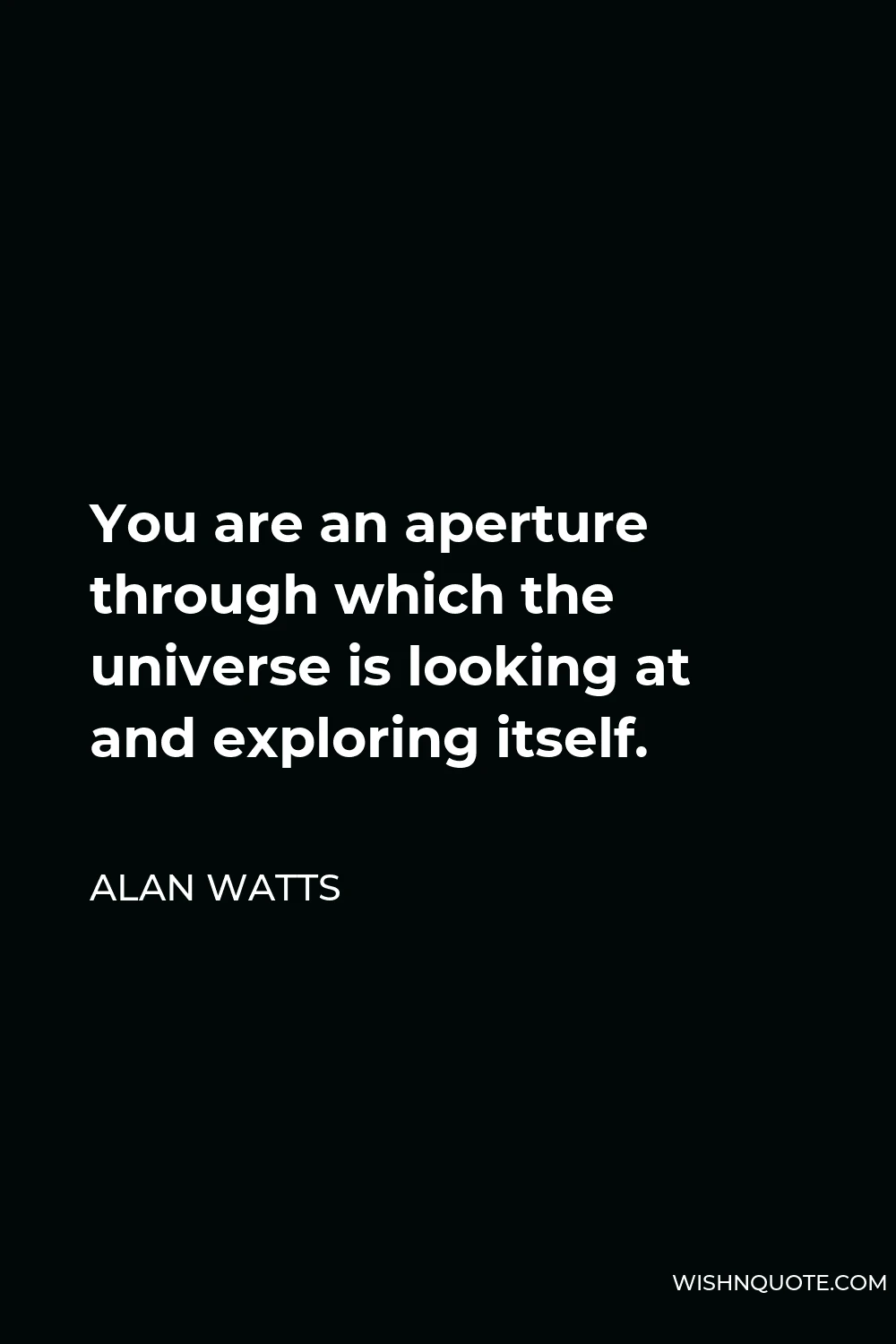 Alan Watts Quote - You are an aperture through which the universe is looking at and exploring itself.