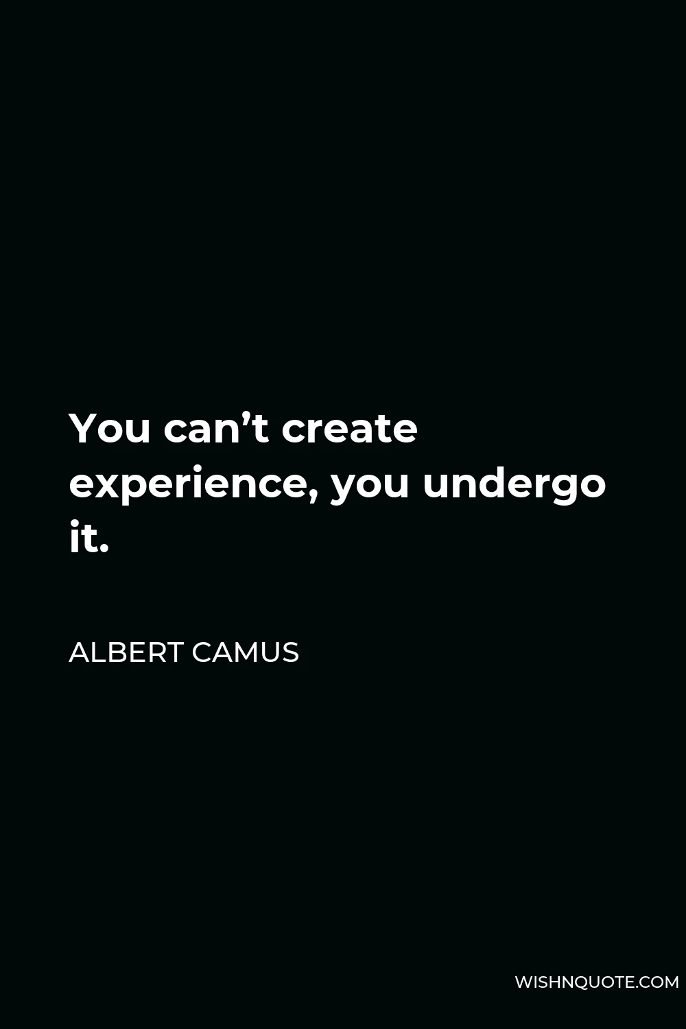 Albert Camus Quote - You can’t create experience, you undergo it.
