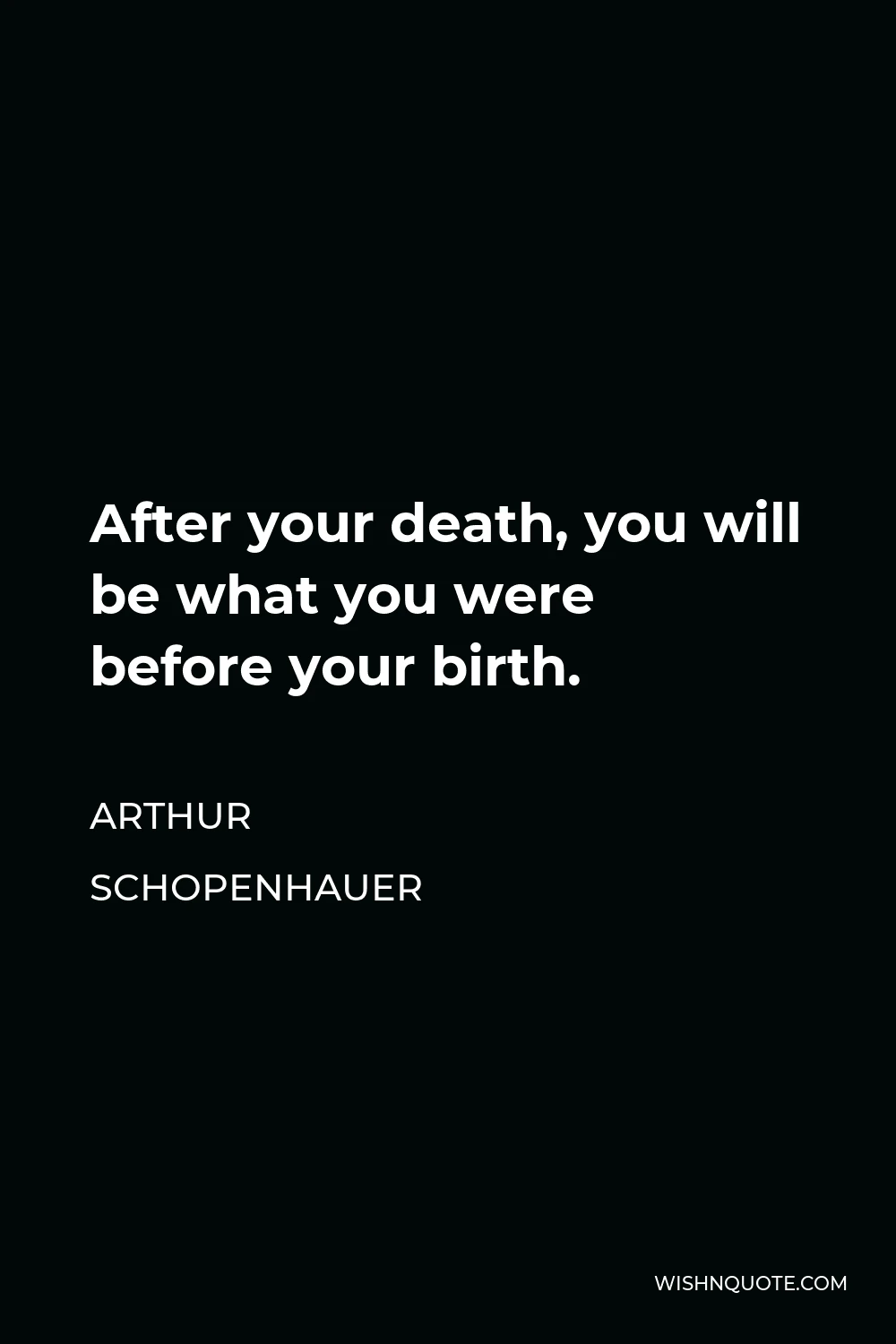 Arthur Schopenhauer Quote - After your death, you will be what you were before your birth.