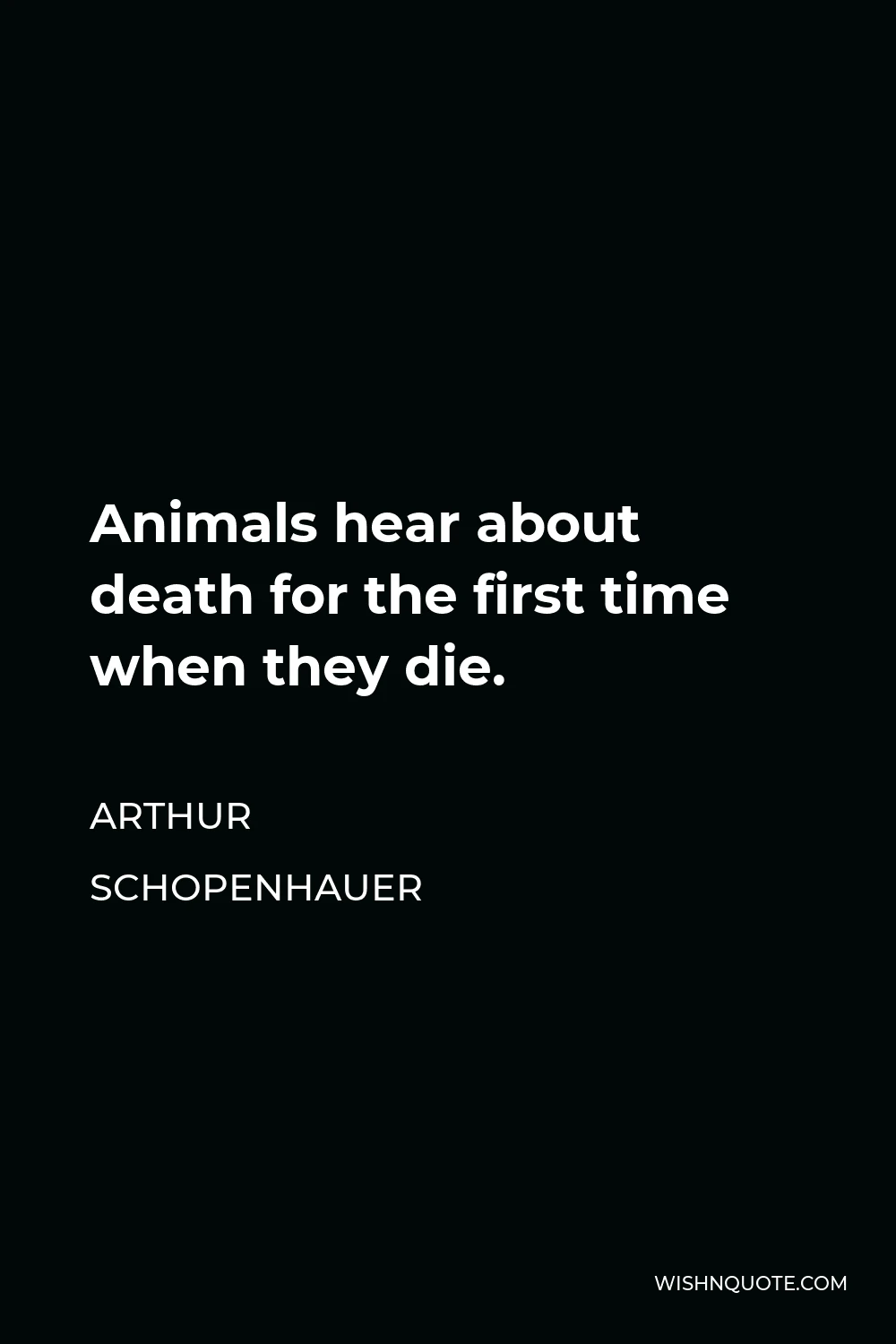 Arthur Schopenhauer Quote - Animals hear about death for the first time when they die.