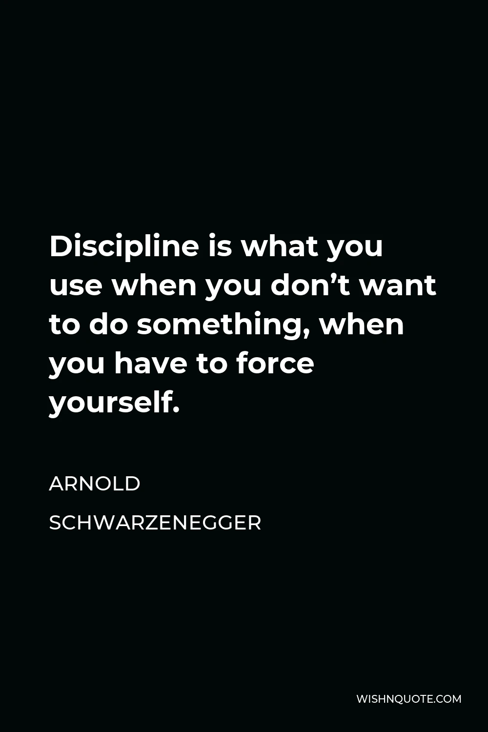 Arnold Schwarzenegger Quote - Discipline is what you use when you don’t want to do something, when you have to force yourself.