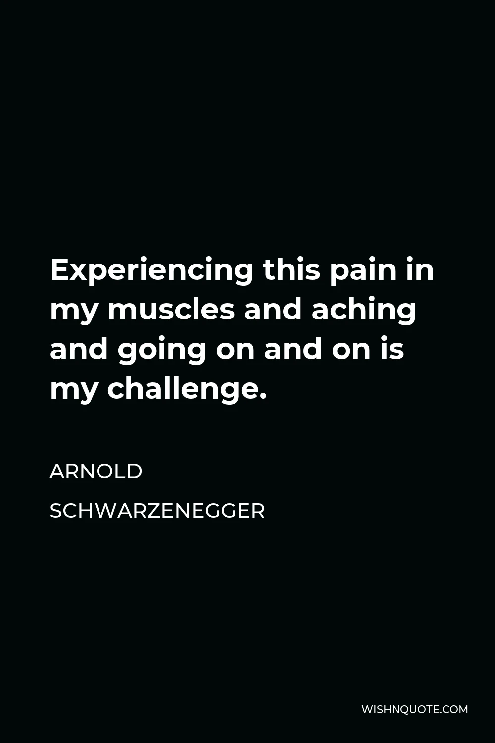 Arnold Schwarzenegger Quote - Experiencing this pain in my muscles and aching and going on and on is my challenge.