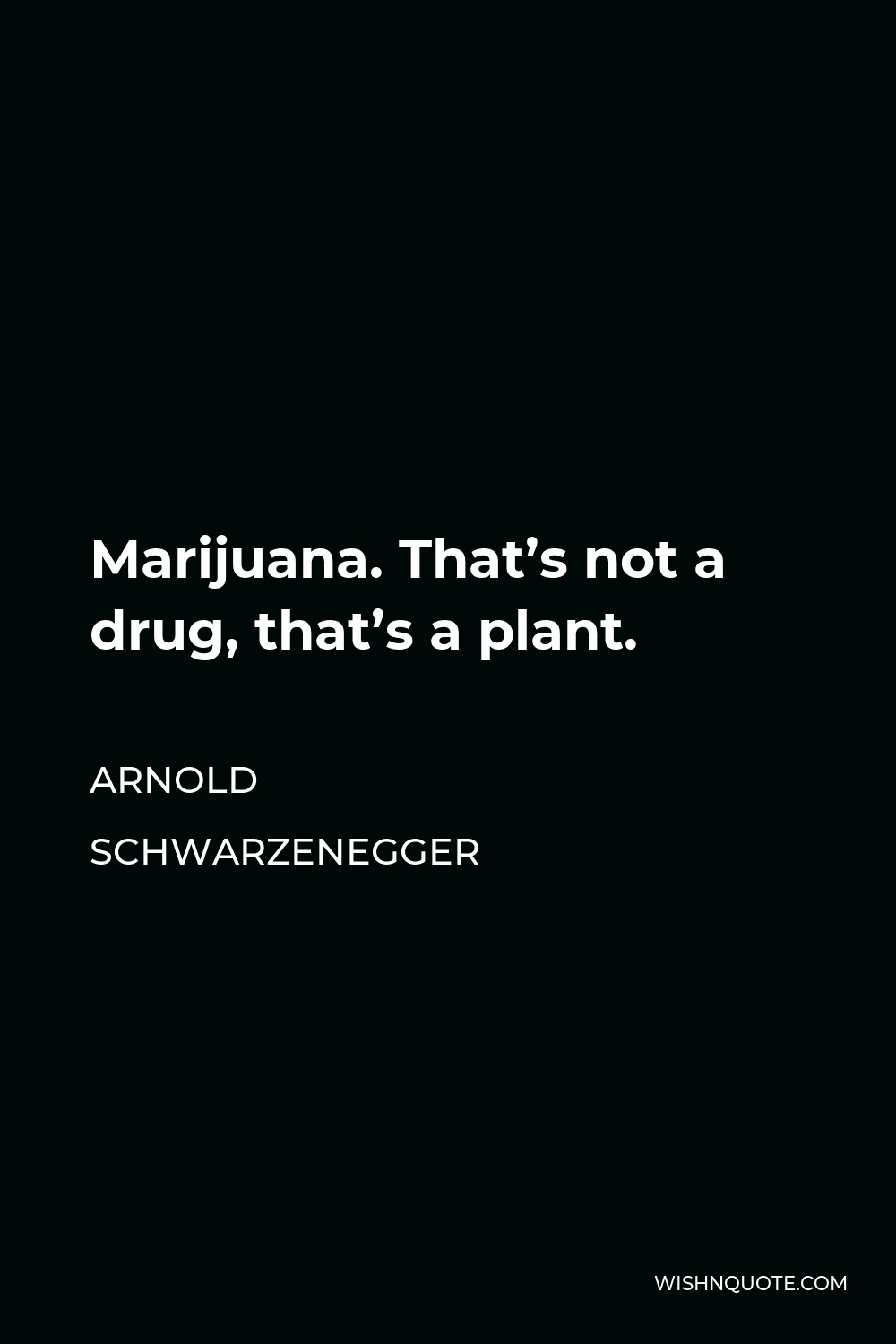 Arnold Schwarzenegger Quote - Marijuana. That’s not a drug, that’s a plant.