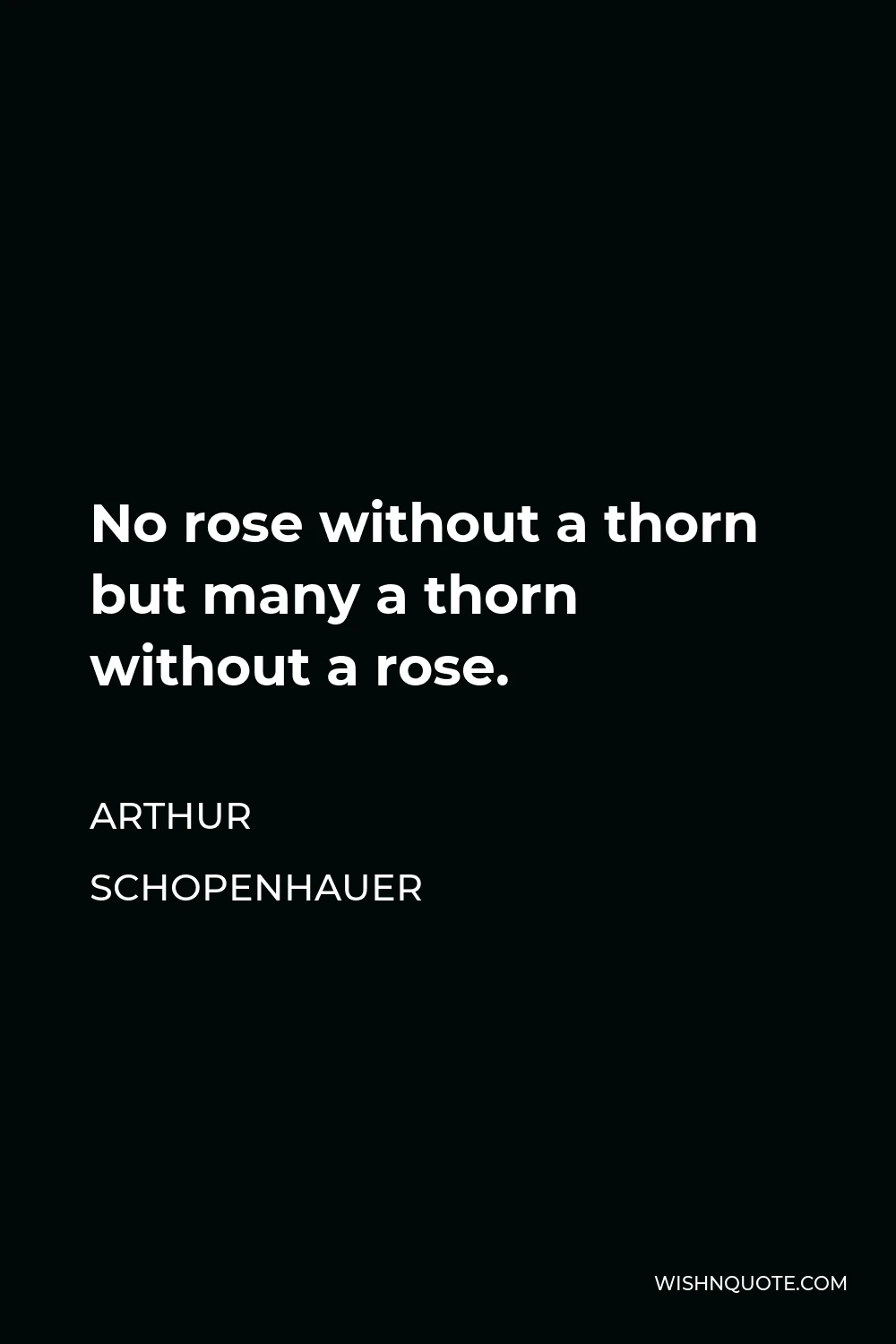 Arthur Schopenhauer Quote - No rose without a thorn but many a thorn without a rose.
