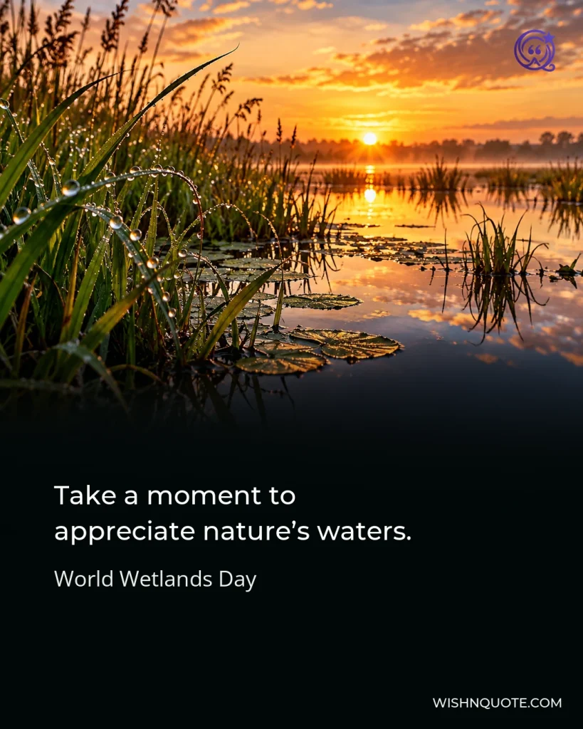 Take a moment to appreciate nature’s waters.