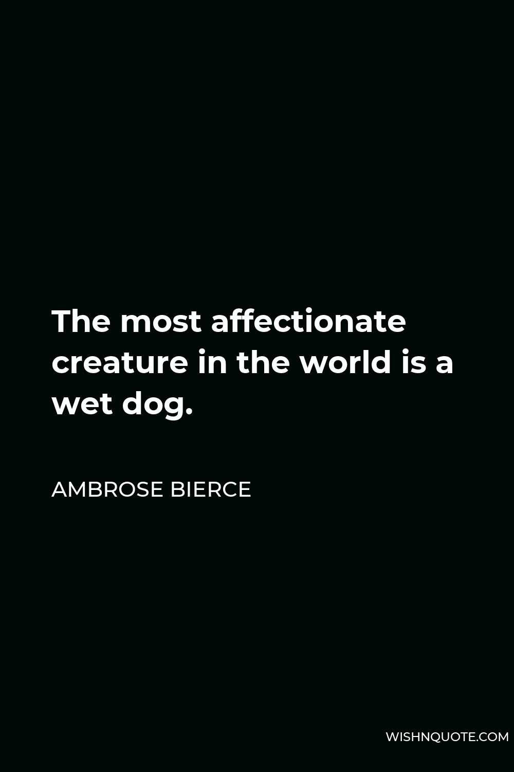 Ambrose Bierce Quote - The most affectionate creature in the world is a wet dog.