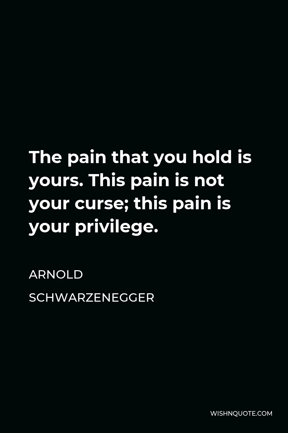 Arnold Schwarzenegger Quote - The pain that you hold is yours. This pain is not your curse; this pain is your privilege.