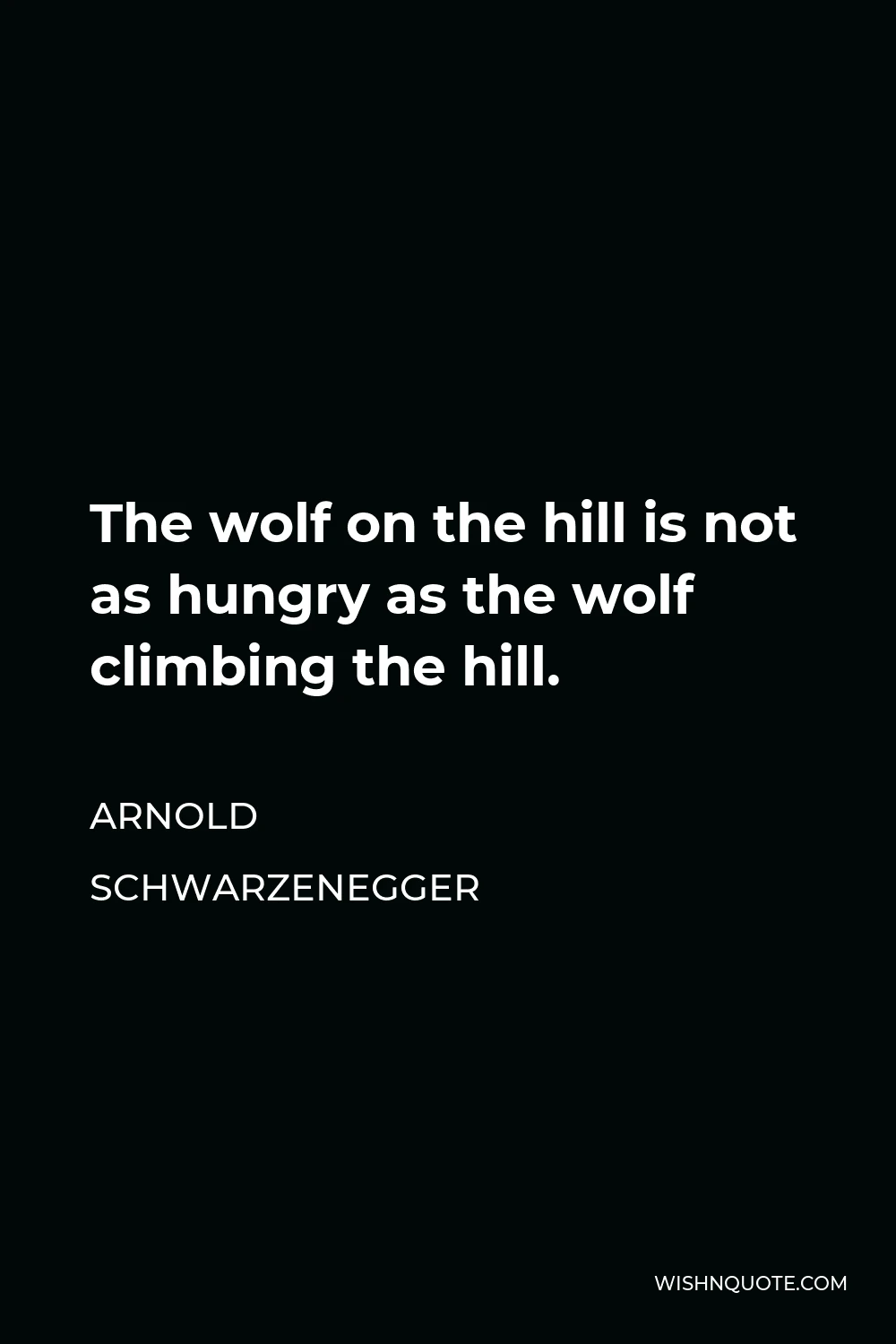 Arnold Schwarzenegger Quote - The wolf on the hill is not as hungry as the wolf climbing the hill.
