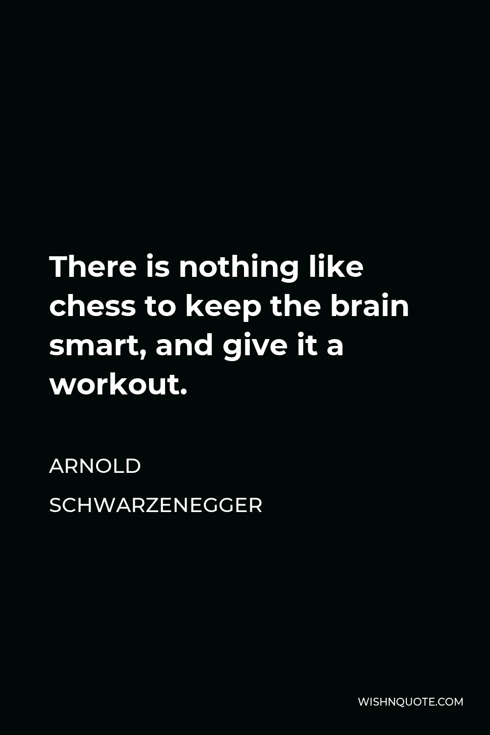 Arnold Schwarzenegger Quote - There is nothing like chess to keep the brain smart, and give it a workout.