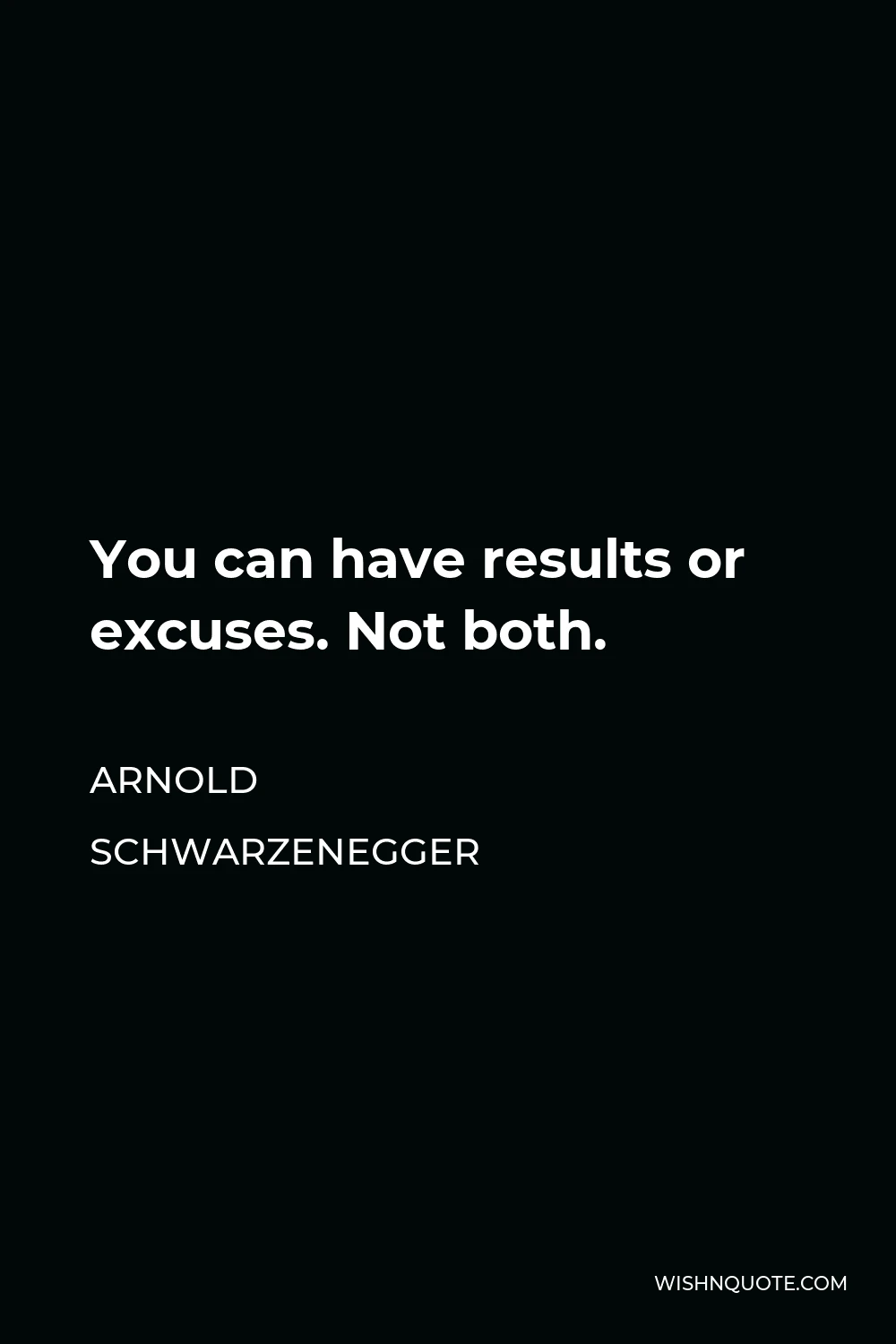 Arnold Schwarzenegger Quote - You can have results or excuses. Not both.