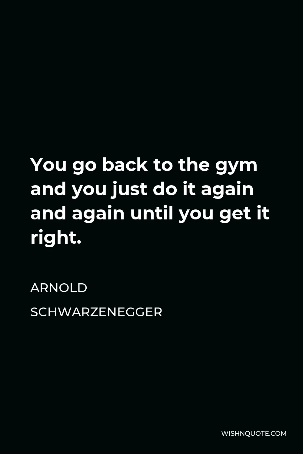 Arnold Schwarzenegger Quote - You go back to the gym and you just do it again and again until you get it right.