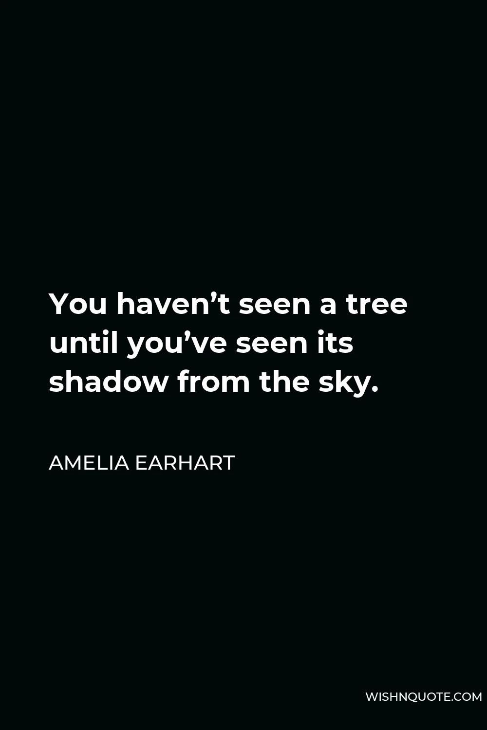 Amelia Earhart Quote - You haven’t seen a tree until you’ve seen its shadow from the sky.